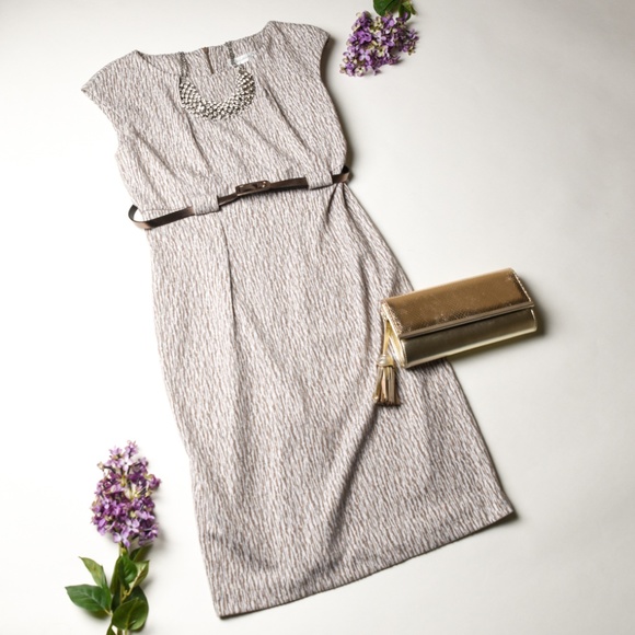 Dress Barn Dresses & Skirts - DRESS BARN Nude/Brown/White Elegant Dress - Size 8